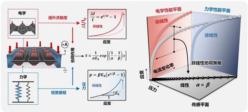 厦门大学/香港理工大学共同破解压力传感器“高灵敏与宽线性量程不可兼得”的困境