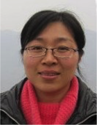 Zhang Yan